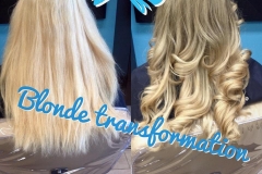 1 Blonde Transform